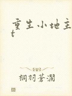 重生小地主txt