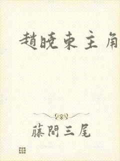 赵晓东主角小说