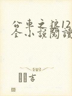 公车之狼12集全小说阅读