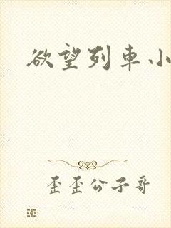 欲望列车小说