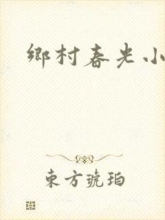 乡村春光小说封面