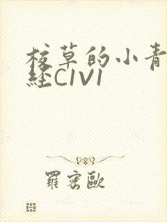 校草的小青梅不经C1V1