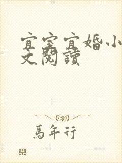 宜室宜婚小说全文阅读