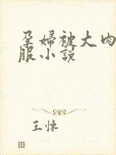 孕妇被大肉楱征服小说封面