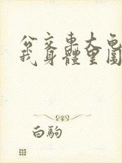 公交车大龟廷进我身体里图封面