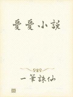 爱爱小说