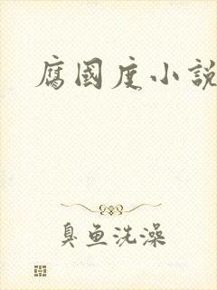 腐国度小说