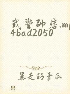 武警帅痞.mp4bad2050