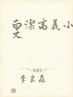 白洁高义小说全文