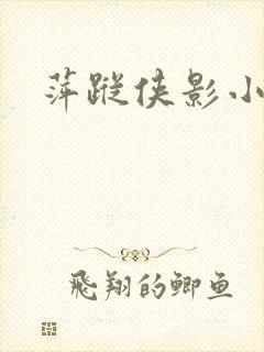 萍踪侠影小说封面