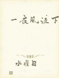 一夜风流下载