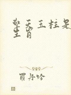 擎天玉柱是什么生肖