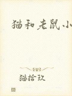 猫和老鼠小说