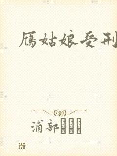 雁姑娘受刑记封面