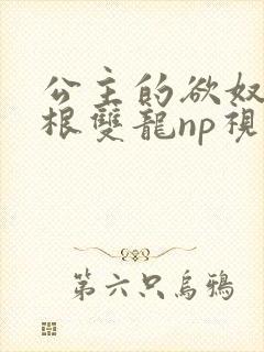 公主的欲奴h四根双龙np视频