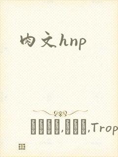 肉文hnp封面