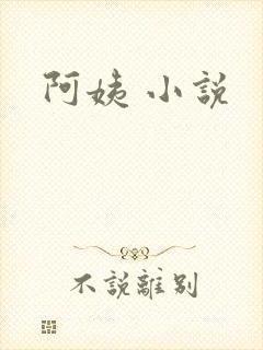阿姨 小说
