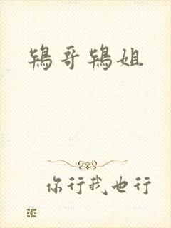 鸨哥鸨姐封面