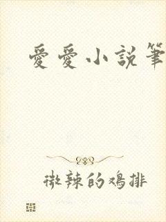 爱爱小说笔趣阁封面