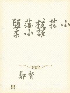 堕落校花小雪小柔小说封面