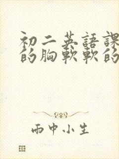 初二英语课代表的胸软软的