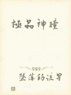 极品神瞳
