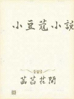 小豆蔻小说