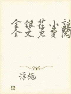 金银花小说在线全文免费阅读封面