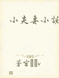 小夫妻小说