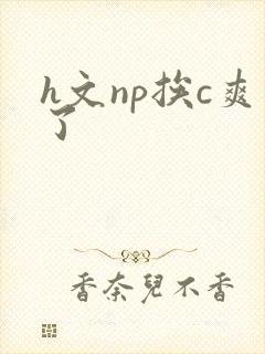 h文np挨c爽了
