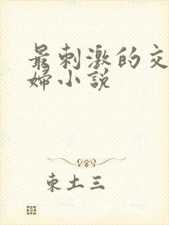 最刺激的交换夫妇小说