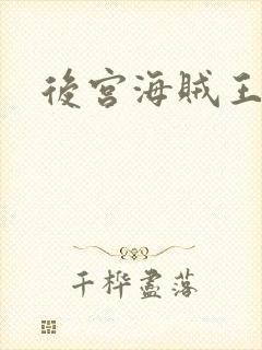 后宫海贼王