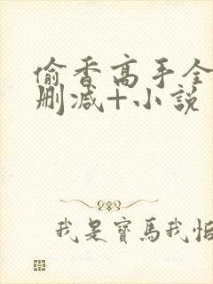 偷香高手全文无删减+小说