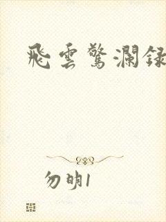 飞云惊澜录