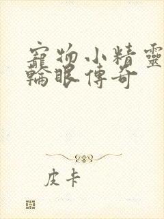 宠物小精灵之写轮眼传奇封面