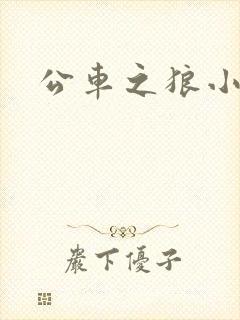 公车之狼小说