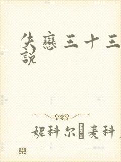 失恋三十三天小说封面