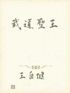 武道圣王