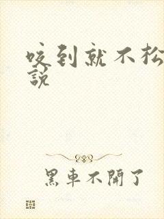 咬到就不松口小说封面