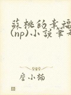 苏桃的幸福生活(np)小说笔趣阁