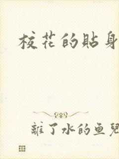 校花的贴身杀手