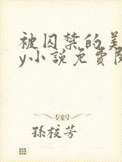 被囚禁的美人by小说免费阅读