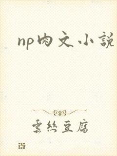 np肉文小说