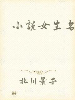 小说女生名字封面