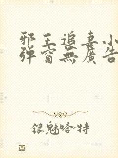 邪王追妻小说无弹窗无广告