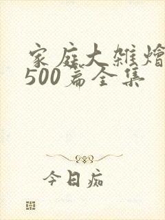 家庭大杂烩小说500篇全集封面