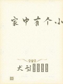 家中有个小姨子