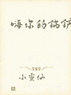 嗨你的锅铲封面