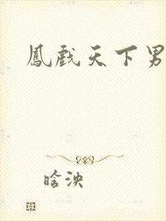 凤戏天下男封面