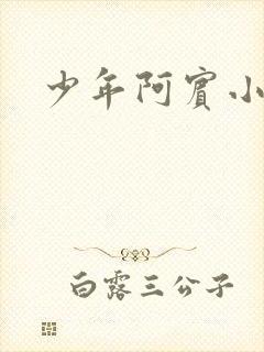 少年阿宾小说封面